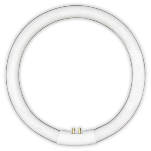 T5 22W Circular Bulb Replacement for Zadro 7-in Surround Light by Technical Precision Replacement Bulb for Lighted Mirror / Makeup Mirror - G10Q-4 4-Pin Base - 6500K Cool Daylight - 12000 Hours