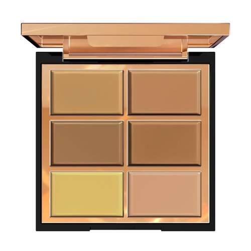 FV Premium Cream Concealer Palette, 6 Colors Corrector for Dark Circles, Redness & Acne, Long Lasting, Waterproof, Full Coverage Cream Foundation Palette with Natural Finish, 02 Medium Shade