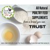 Fresh Eggs Daily Brewer's Yeast with Garlic Powder and Niacin for Ducks Feed Supplement Vitamins for Backyard Chickens 1LB