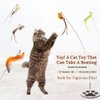 GADGETSOLOGY Cat Wand Toy Cat Toys for Bored Indoor Adult Cats Feather Cat Toy Wand 5 Pcs Natural Bird Feathers Stable Round Base Wand Cat Toys for Indoor Cats Hunting Toys for Cats