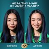 OGX Renewing + Argan Oil of Morocco Shampoo & Conditioner Set, 13 Fl Oz (Pack of 2) (packaging may vary), Blue