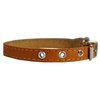 Real Leather Dog Collar 9.5"-13" Neck Size, 1/2" Wide Chihuahua, Puppies
