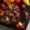 Milk Chocolate Covered Gummy Bears 1 One Pound Bag