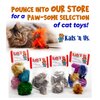 Kat Fly Cat Wand Refill Teaser Toy - Interactive Cat Wand Toy Attachments for Indoor Cat and Kitten - Cat Toy with Real Feather Best Cat Toys for Bored Cats, Cat Teaser Toy - Bug (Black)