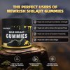 Newrish Shilajit Gummies l Manuka Honey | Himalayan shilajit |No Added Sugar I Ashwagandha, Gokshura| Fulvic Acid & 85+ Trace Minerals I for Men, Women I Non-GMO I 100% Natural & Organic I 30 Gummy