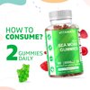 Vitamatic Irish Sea Moss Gummies - 3000 mg - 60 Vegan Gummies - Made with Bladderwrack & Burdock Root - Seamoss Supplement for Thyroid, Energy, Immune Support (60 Gummies (Pack of 2))