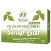 Poison Ivy Soap Bar - All Natural Poison Ivy Treatment - Anti-Itch Soap Skin Cleanser Bar for Poison Ivy, Poison Oak & Sumac - Removes Oils, Soothes & Relieves Rashes - 4 oz Bar Made in USA