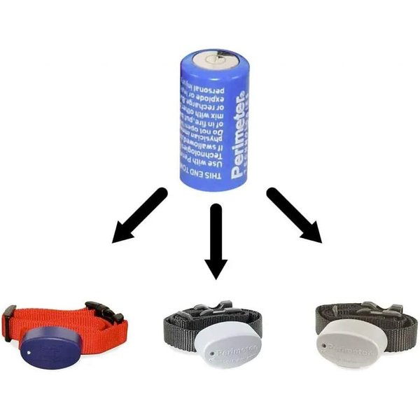 Perimeter 6V Battery