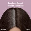 Madison Reed Root Perfection Permanent Root Touch Up, Dark Brown 5N Calabria, 10 Minutes for 100% Gray Root Coverage, Ammonia-Free Hair Dye, Two Applications