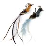 TTcat Cat Feather Toy Replacement Cat Toy Wand Refills, 4 Pcs Simulation Insects Bird Feathers Refills, Cat Toy Replacement Feathers for Cat Wand…