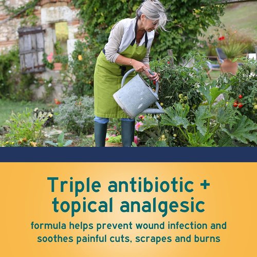 Neosporin First Aid Antibiotic Ointment Maximum Strength Pain Relief, 1-Ounce (Pack of 6)