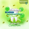 BENTODENT Calcium Bentonite Clay Toothpaste - Cardamom Flavor Natural Toothpaste, Fluoride-Free, Enamel Protection, Mint-Free, 3.52 oz - Ideal for Sensitive Teeth & Whitening