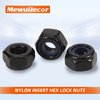 1/4-20 Nylon Insert Hex Lock Nuts Locknuts, 304 Stainless Steel 18-8, Black Oxide, 25 PCS