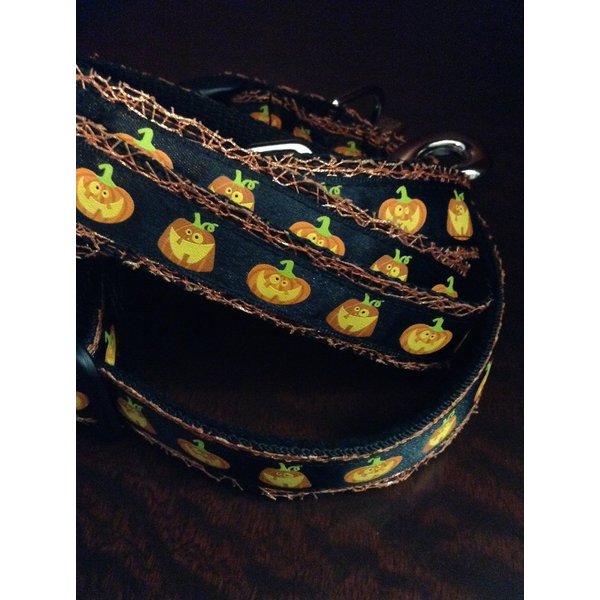 Pumpkin designer dog collar. 13"-17", 58" leash