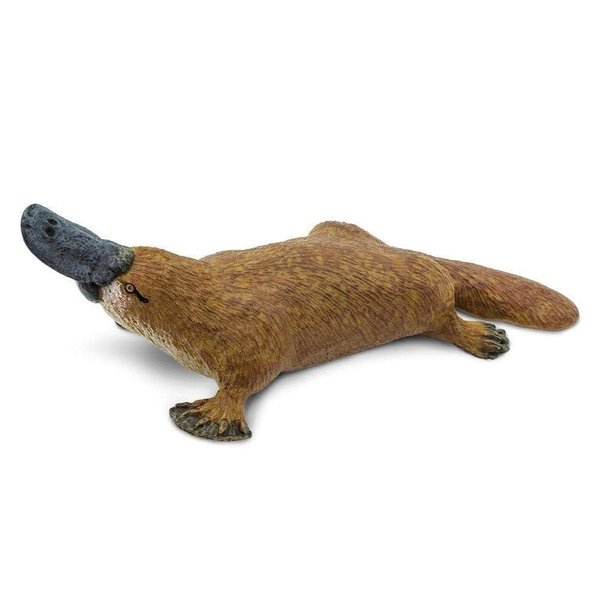 Safari Ltd. Platypus Figurine - Detailed 4.75" Plastic Model Figure - Fun Educational Play Toy for Boys, Girls & Kids Ages 3+
