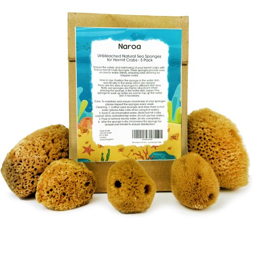 Naroa Natural Hermit Crab Sponges - Pack of 5 | Unbleached Sea Sponge for Water Drinking Safety | Aquarium Decor Balance Tank Humidity | Crab Supplies Accessories