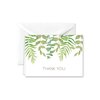 Paper Frenzy Elegant Ferns Thank You Note Cards and Envelopes - 25 pack