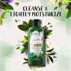 Herbal Essences bio:renew Cucumber & Green Tea Sheer Moisture Shampoo, 13.5 fl oz (Packaging May Vary)