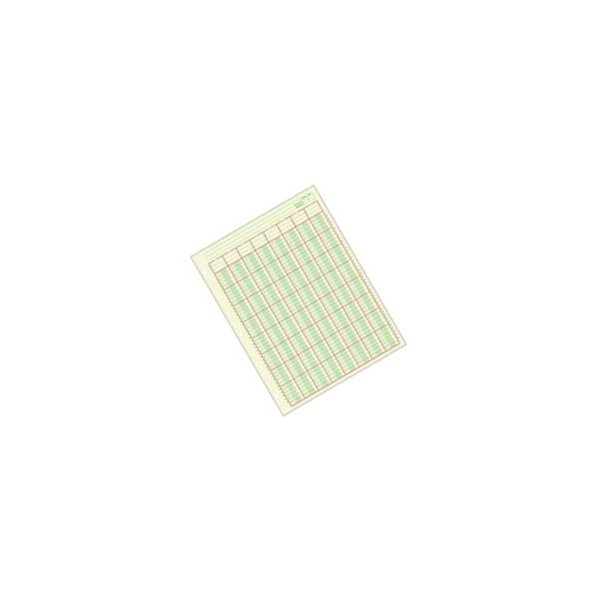 Adams Columnar Analysis Pad, 8 Column Ledger, 8.5" x 11", 100 Pages (50 Sheets), Green, 3 Hole Punch, for Accounting, Bookkeeping & Data (ACP85118)