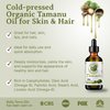 Bella Terra Oils - Organic Tamanu Oil 2oz - Celebrate Skin's Vitality, Naturally Rich in Fatty Acids & Vitamins, Distilled Essence from Pure Organic Tamanu Seeds
