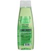 Alberto VO5 Herbal Escapes Kiwi Lime Squeeze Clarifying Shampoo, 15 Ounce