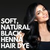 Black Henna Hair Color Dye - Organic Hair Dye Without Chemicals, PPD-free, One Step Process,100% Gray Coverage, All Natural Semi Permanent Hair Color, Safe for Sensitive Scalp,100g by Ouiloe