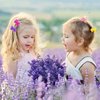 100 Pieces Girls Hair Barrettes Self Hinge Plastic Hair Clip Toddler Kids Baby 80s 90s Hair Pin Colorful Cute Hair Clip Cartoon Hair Accessories (Bow)