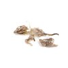 EISCO EcoExploration Simulated Owl Pellet with Vole - Realistic Educational Tool for Biology and Ecology, Reusable, 3x1.25 Inches - Made in USA (Pack 5)