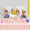 Pink Rose Gold Party Tableware set,Pink Happy Birthday Theme 20 Plates and 20 Napkins and Tablecloths 71 '' x 42 '' for Girls Women Silver Glitter Birthday Party Supplies