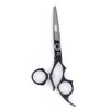 Professional Salon/Barber Shears Swivel, Black Titanium, 6 Inch, 2.3 ounce