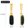 Donna Boar Styling Brush 100% Boar Bristles, for Women, Rubber Handle 1pc - YELLOW