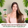 Bioblas Argan Oil & Organic Olive Oil Shampoo for Women & Men - Hydrating, Repairing, Strengthening Hair Growth Shampoo - Hypoallergenic, Paraben & Dye Free - All Hair Types - 12 Oz
