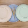 LuckyZone 8.8 Inches Unbreakable Wheat Straw Plates - Reusable Plate Set - Dishwasher & Microwave Safe - Perfect for Dinner Dishes - Healthy, BPA Free & Eco-Friendly (8.8 Inches)
