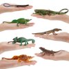 Fantarea Realistic Jungle Animal Figures 7 PCS Set, Chameleon Lizard, Desktop Decor, Cake Toppers, Party Favors for Boys and Girls Ages 5-8