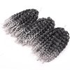 Silike Marlybob Kinky Curl Ombre Crochet Braiding Hair (3 Bundles/pack) 8'' Water Wave Crochet Hair Extensions For Women (T 1B/Grey)