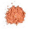 Loose Mineral Powder Blush in Pot by Pree Cosmetics - Compare to Bare Minerals (Perfect Mango)