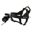 Dean & Tyler Bundle -One DT Universal No Pull Dog Harness, Adopt Me, Black, Medium - Fits Girth Size: 26"- 32" + One 6 FT Padded Puppy Leash with Stainless Snap