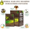 Herbal Hair Dye Shampoo - Ammonia Free | Brown Black Hair Color Shampoo |Color Hair In Minutes - 3-in-1 Bubble Hair Color For Men&women| 10-Bag/Box