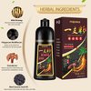 Chestnut Brown Hair Dye Shampoo 3 in 1 for Men Women, Natural Hair Color Shampoo for 100% Gray Coverage, Brown Hair Colors in 10-15 mins, Shampoo Para Canas Hair Dye Shampoo 16.9 Fl Oz(Chestnut Brown)