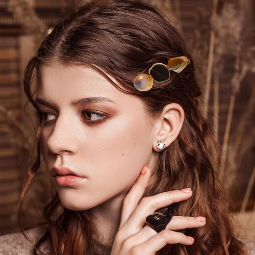 Generic 6 Pieces Acrylic Resin Hair Clips for Women Girls Thick Thin Hair Fashion French Vintage Geometric Alligator Hair Accessories