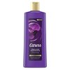Caress Body Wash 18 Ounce Black Orchid & Patchouli (532ml)