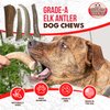 Best Dog Chews Elk Antlers Chew Toy, USA-Sourced, Split Antlers for Aggressive Chewers, Long-Lasting, Natural Product, All Breed Sizes