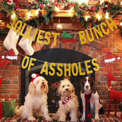 Gold Glitter Jolliest Bunch Of Assholes Banner- Christmas Party Decorations,Christmas Vacation Party Decorations, Ugly Christmas Sweater Party Decorations, Christmas Decorations for Home Office Fireplace Mantel