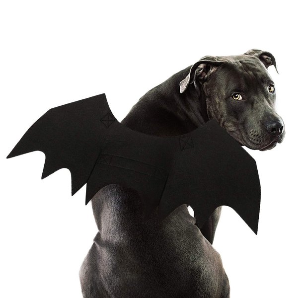 Rypet Dog Bat Costume - Halloween Pet Costume Bat Wings Cosplay Dog Costume Cat Costume for Party L