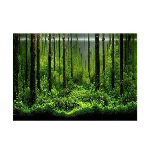 Fish Tank Background Pictures, Fish Tank Decorations Items Forest Tank Aquarium Poster, Aquarium Background Picture PVC Adhesive Forest Tank Background Poster Backdrop Decoration Paper (61 * 41cm)