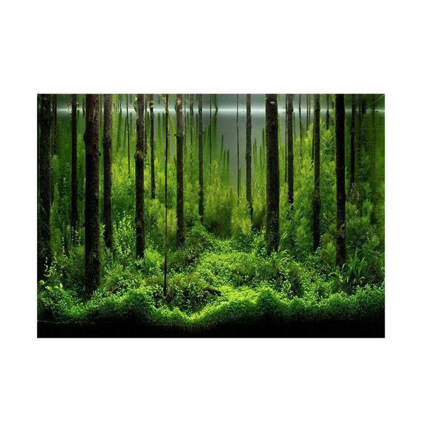 Fish Tank Background Pictures, Fish Tank Decorations Items Forest Tank Aquarium Poster, Aquarium Background Picture PVC Adhesive Forest Tank Background Poster Backdrop Decoration Paper (61 * 41cm)