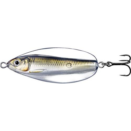 Live Target Fishing Tackle Lures Erratic Shiner Casting Silver-Bronze, Multicolored, One Size (ESS70SK205)