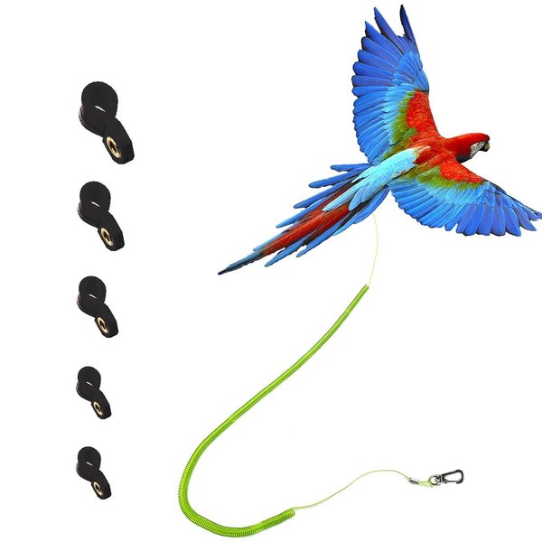 Parrot Bird Harness Leash Stretchable to 5 Meters Anti-bite Outdoor Flying Training Rope with 5pcs Different Sizes of Soft Foot Loops(Upgraded Version)
