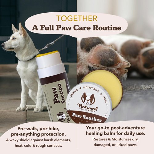 Natural Dog Company PawTection Balm for Dogs, Dog Paw Protector, Moisturizing Dog Paw Balm for Dry, Cracked Pad, Protects Paw from Extreme Weather, Paw Lotion for Allergies & Itching (4 oz Tin)