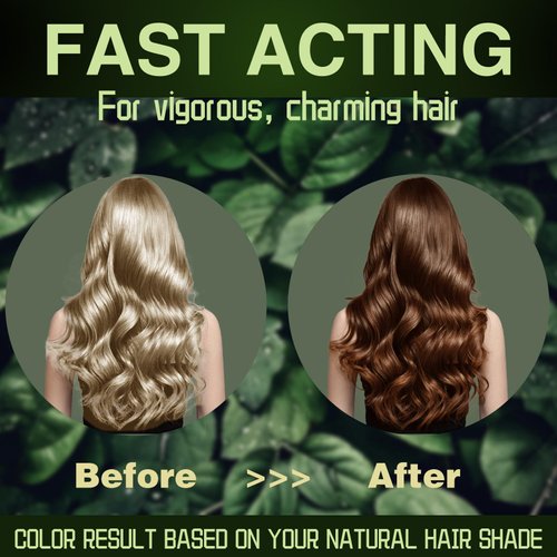 Instantly Hair Dye Shampoo 3 in 1 for Gray Hair Coverage, Tea Tree Shampoo for Men Women, Natural & Long-lasting Color, Quick & Easy to Use 16.9 Fl Oz(Dark Brown)